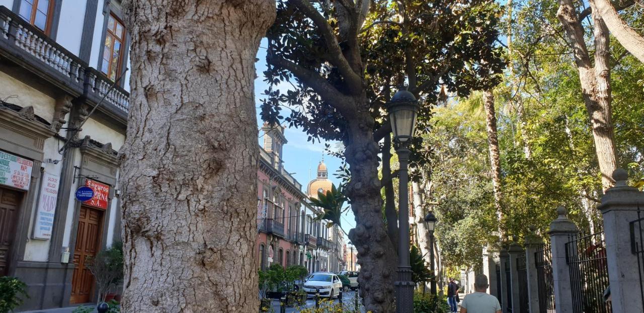 Casa Isabel Centro Historico Villa Arucas Eksteriør bilde