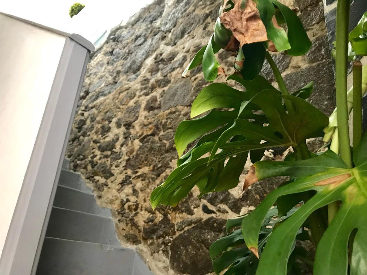 Casa Isabel Centro Historico Villa Arucas Eksteriør bilde